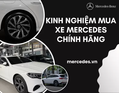 Kinh Nghiệm Mua Xe Mercedes Chính Hãng
